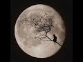 TRANCE VISIONS- Spectrosonic - Moonshine