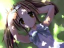 Akina is Shippou\