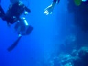 immersioni a Sharm