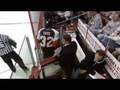 RILEY COTE BOARDS PIERRE LUC LETOURNEAU LEBLOND