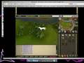 me kiling a lepricorn on rumescape XD