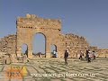 Desert Explorer Tours (Short)