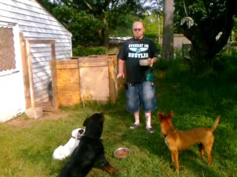 how to react more calmly