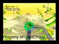 LordChouy Beats Masters 3-10 on Monkeyball 1