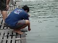 GT Pond Mangrove No No Fish