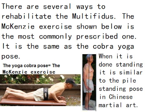 how to locate lumbar 5