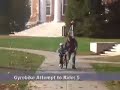 3 1/2 year old learning to ride on Gyrobike