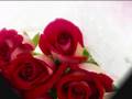 Anh se ve