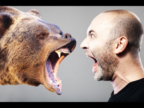 How To Survive Animal Attacks