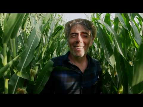 Image de prévisualisation YouTube