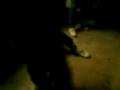 videos de La piedrita.3gp