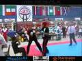 WKA 2007 Germany: Viking Poland Fight Team