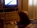 SuriAnne watches Tv