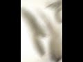 Nouvelle Vague - The killing moon