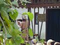 texrenfest-the-ded-bob-show.html