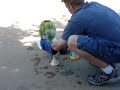 Exploding watermelon - liquid nitrogen 1
