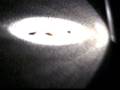 videos de Bug Fight