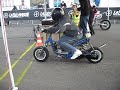 TFF 2009