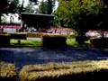 videos de Hans Joachim Stuck auf Audi 90 IMSA GTO 2008 in Hamburg