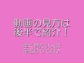 【スレンダー】【キャンギャル】ぽっちゃりした女の子って可愛いよね!
