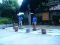 videos de 08 10.26 SG - Close Encounters with Animals @ Sentosa.wmv