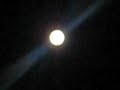 ALIENS ARE ***REAL*** #ACTUAL PROOF# ALIENS ARE ***REAL*** #ACTUAL PROOF#