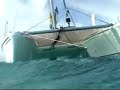 seafari.html