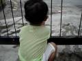arina at pagar.MPG
