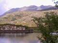 Killarney National Park-MollsGap-Ross Castle-Beara Peninsula
