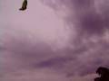 videos de Imagem 156.avi