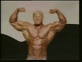 Dennis Wolf