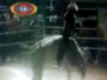 videos de Pilas vs El Duende de los destructores de memo ocampo