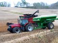 Case IH 8010 Combine Soybeans