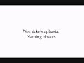 Wernicke\