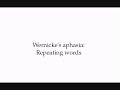 wernicke's aphasia is a neurological disorder typically caused by stroke.  it affects the wernicke's region in the brain's left hemisphere which is reasoned to be responsible for processing of meaning, especially as it relates to verbal communication, hence the problems with speech witnessed in these patients.

credit goes to neil carlson's 