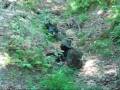videos de RFA and IAL- TRENCH WARFARE