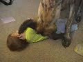 Baby having fun with his big dog!