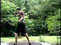 Bax Hoops to Tool Aenima (Single Bow)