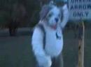 MFF 2007 Ric Sheepy