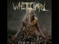 Best metal albums 2008 in my opinion