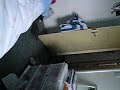 踊るネコ動画