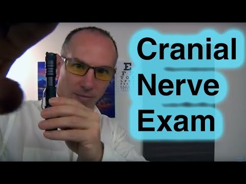 how to assess cranial nerve x
