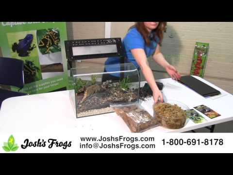 YouTube reptile video