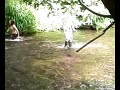 Jack, Lewis, Murray In The River Ythan