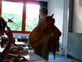 Referat Tischler