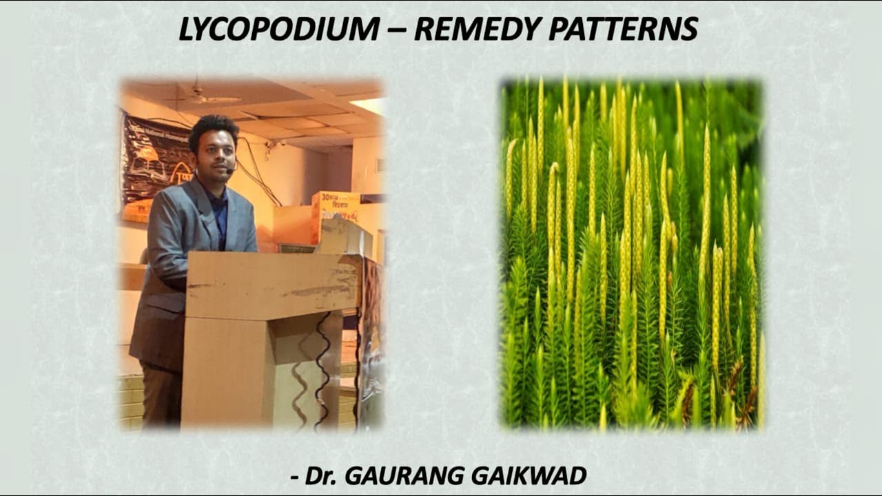 Lycopodium - Remedy Patterns - Dr Gaurang Gaikwad
