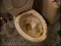 Flush it !