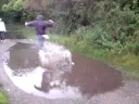 Dez And Willshaw - Puddle Jumping Dez And Willshaw - Puddle Jumping