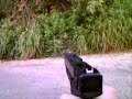 KSC G18C airsoft Shoot KSC G18C airsoft Shoot