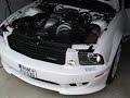 Blown 05 Saleen Mustang, Paxton NOVI 2200 IC Blown 05 Saleen Mustang, Paxton NOVI 2200 IC